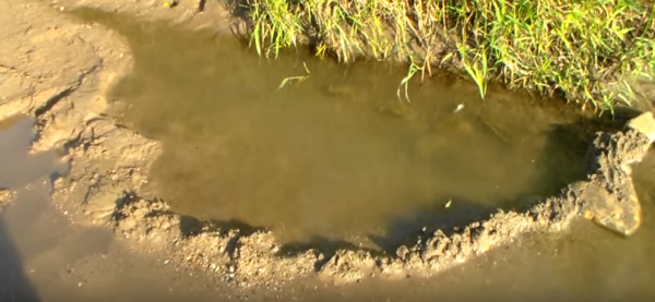 A fish trap 🐟🕸️ #camping #survival #bushcraft #outdoors #fish