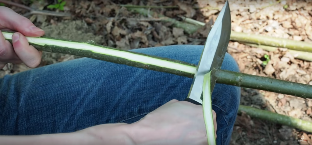 Primitive Fish Trap, Basket trap for fishing, Sigma 3 Survival School