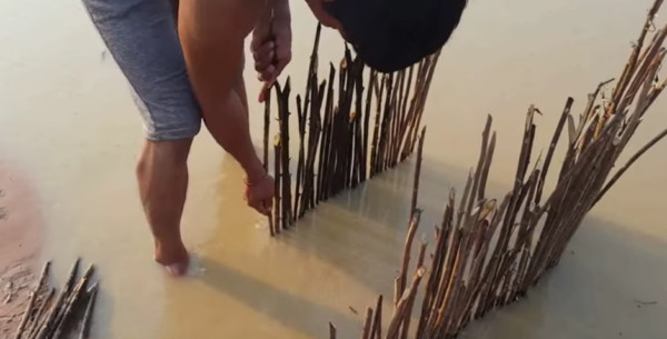 Survival Lilly Shows How to Make a Simple Fish Trap - Wide Open Spaces