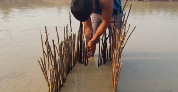 Survival Basics and How To Survive: Improvised Fishing Traps