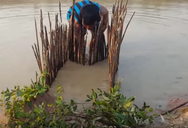 What's a simple fish trap I can make with found, natural materials