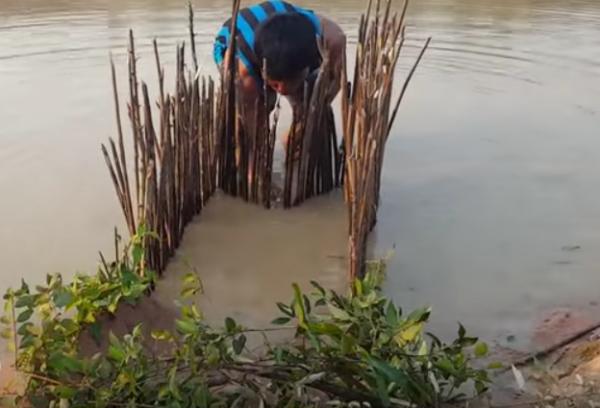 How to Make a Primitive Fish Trap From Bamboo –