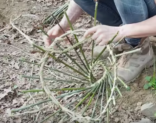 Survival skills - Primitive life Catching fish trap by bamboo