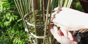 We Survival - Amazing DIY Round Fish Trap From Bamboo 