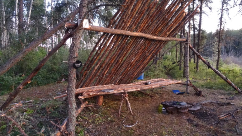 Bushcraft shelter long term sale