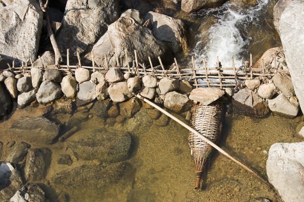 How To Make A Fish Trap - Fast Weaving Method 