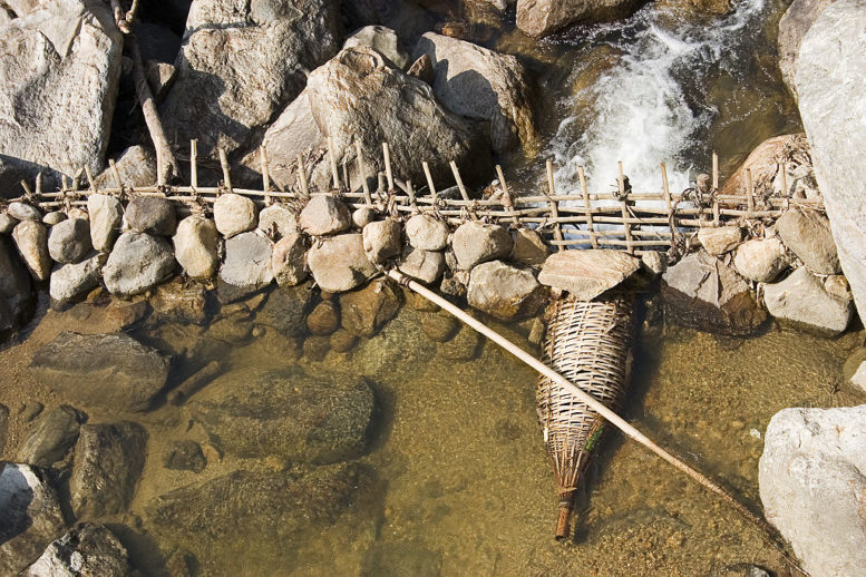 Fishing Basket or Bag,Wooden fish basket made by hand,Fisherman's