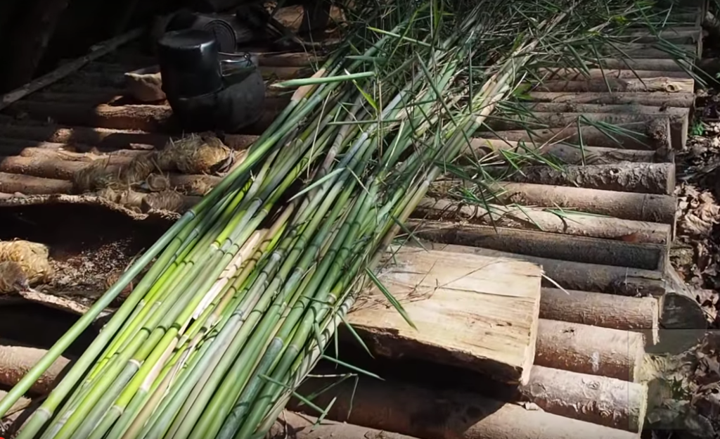 A fish trap 🐟🕸️ #camping #survival #bushcraft #outdoors #fish