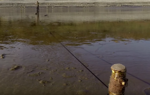 Native Fishing: How to Build a Primitive Fish Basket Trap - American  Outdoor Guide