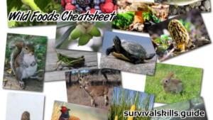 Ultimate Wild Game and Edibles Nutritional Cheatsheet