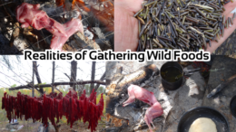 Realities of Gathering Wild Foods for Subsistence