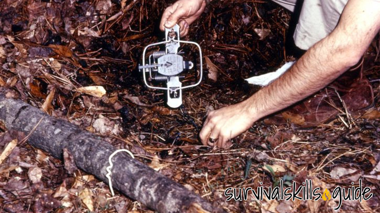 Apache Foot Hold Trap  Survival, Wilderness survival, Bushcraft