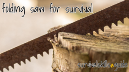 Folding saw for long term survival