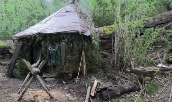 Long Term Survival Shelters From Alone