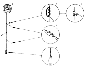 Survival Fishing kit handlining